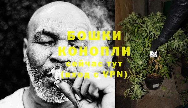 амф Осинники