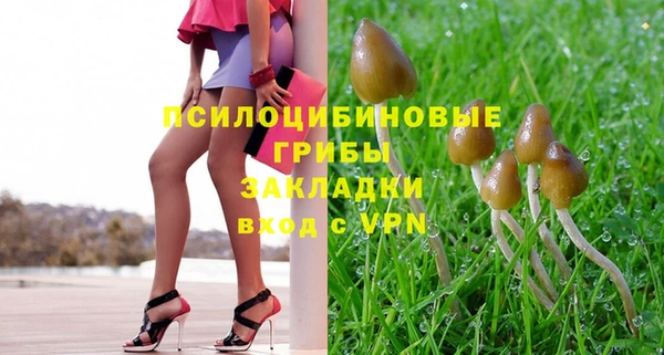 амф Осинники