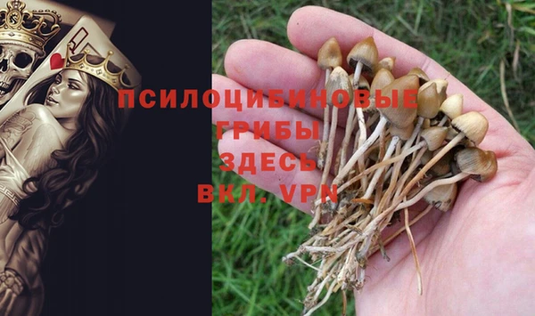 СК Осташков